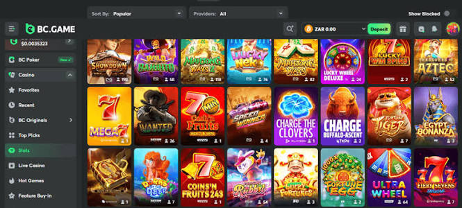 Experience the Thrill of BC.Game The Premier Online Crypto Casino