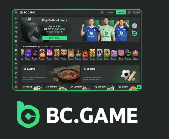 Exploring the BC.Game Platform A Comprehensive Guide